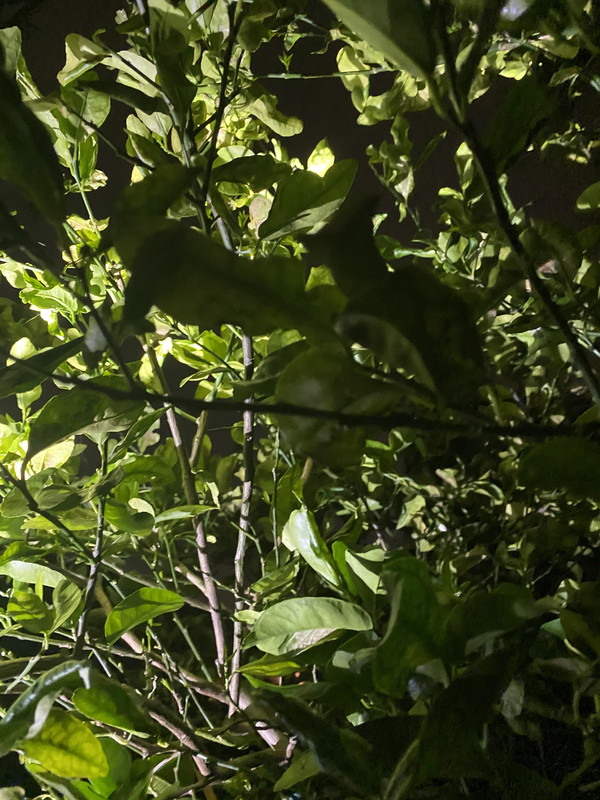 756DC47C-8E73-4B69-9C35-FE45B5CABE92