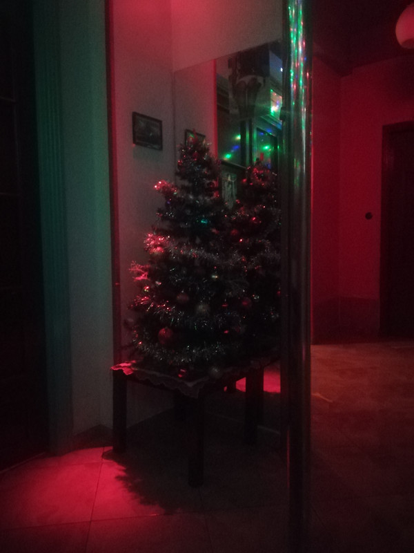 IMG-20191128-002752.jpg