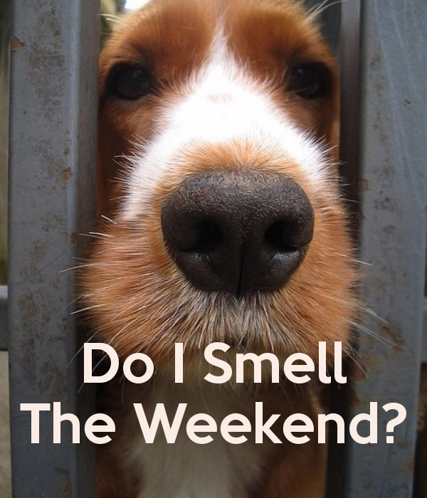 do-i-smell-the-weekend