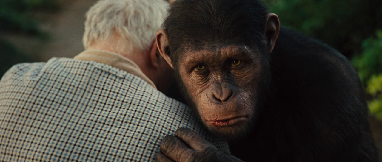 vlcsnap-2025-08-07-10h04m15s891