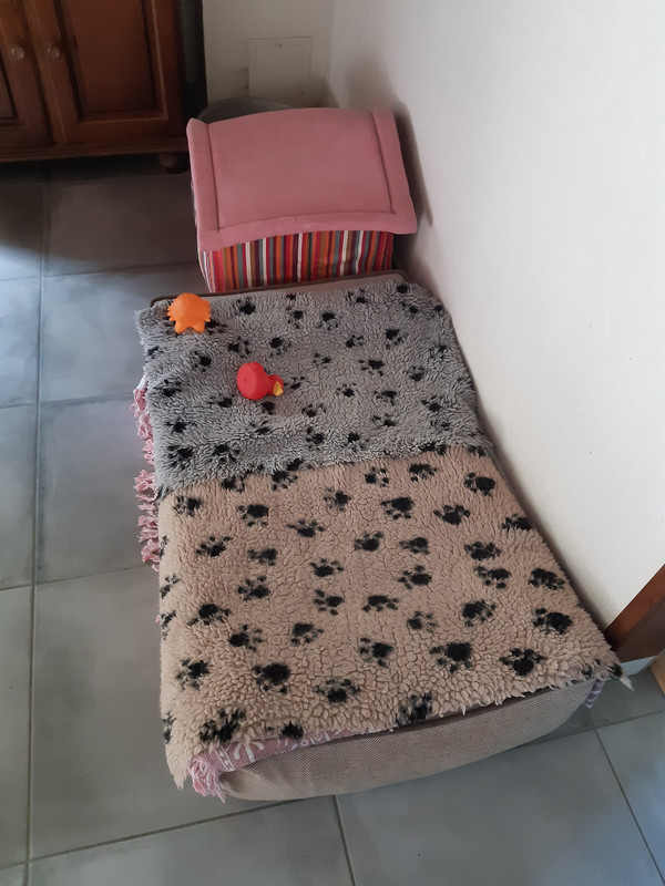 [Image: 20200706-111010.jpg]