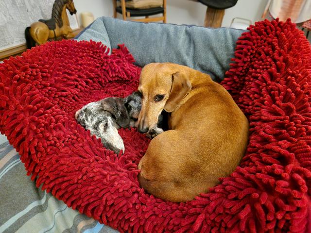 [Image: 20251105-065618.jpg]