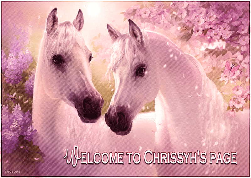 chrissy-banner2-2.gif