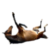 AF08-AEAC-ADCD-4-F0-D-80-B5-967-ABFE23393.png