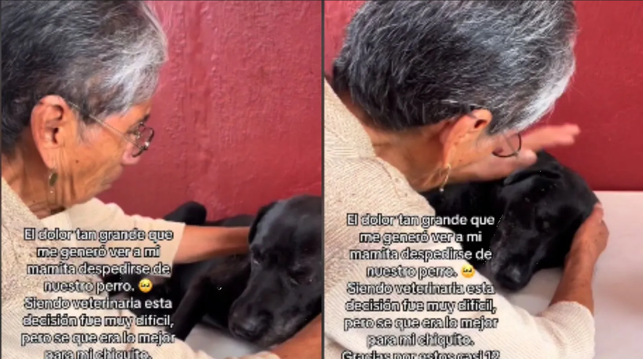 Video: Abuelita se despide de su perrito entre lágrimas y se hace viral