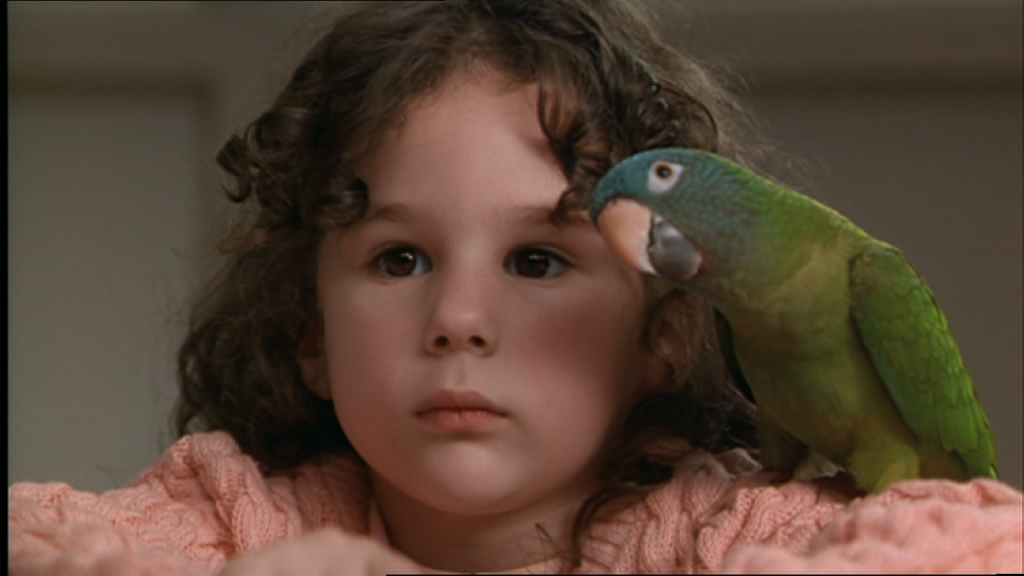 PDVD_002