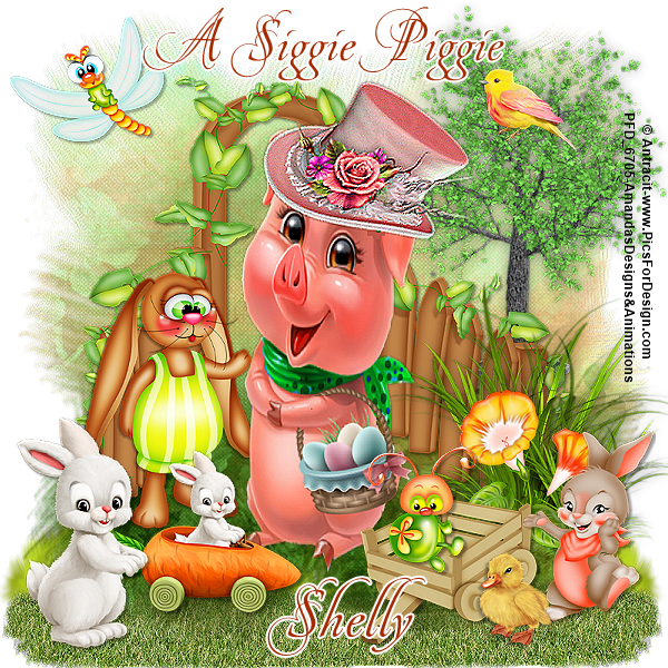 20AntracitHipHopSigPigShelly-vi