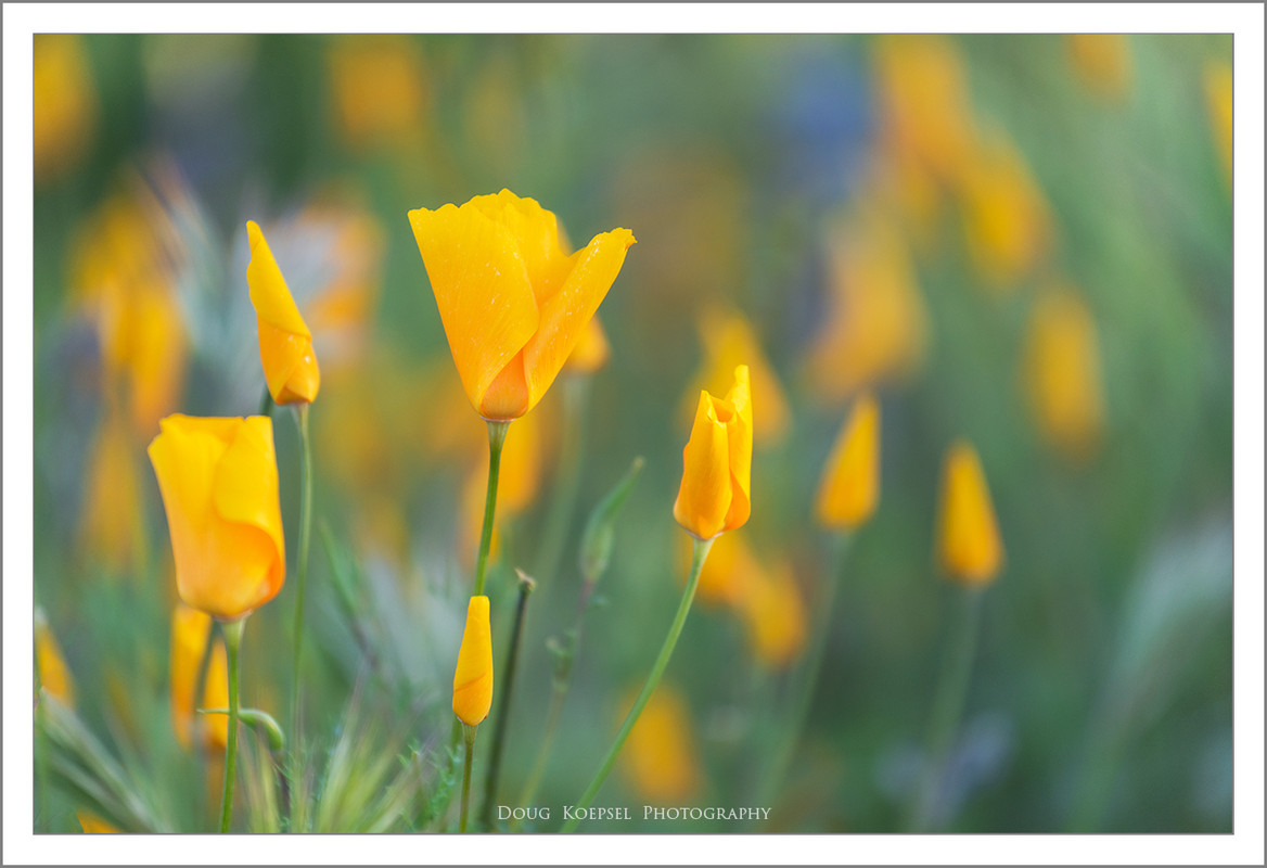 Ed1200GGTCBartlettL3-9-19_0174