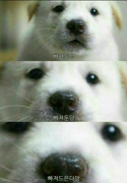 빠져든당