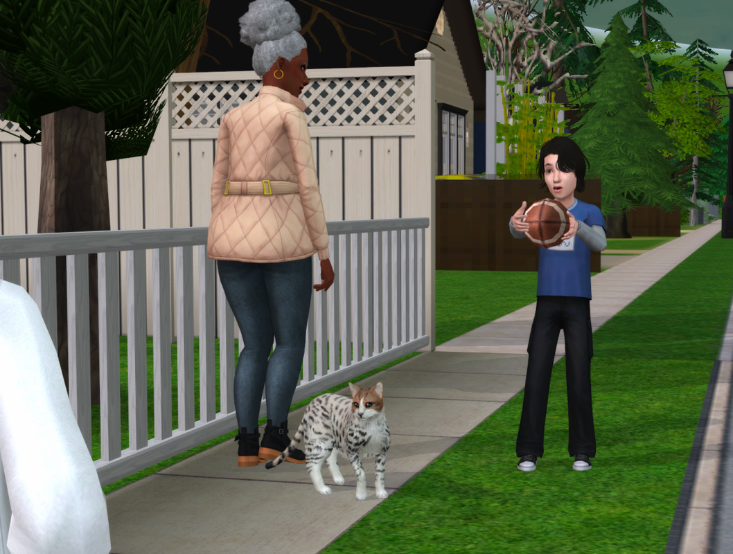 Sims2-EP9-RPC-2022-09-27-19-41-00-54