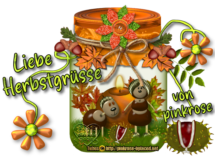 An den Beitrag angehängtes Bild: https://i.postimg.cc/mrDxnzMs/Schrift-Herbst2025-pinkrose10.png