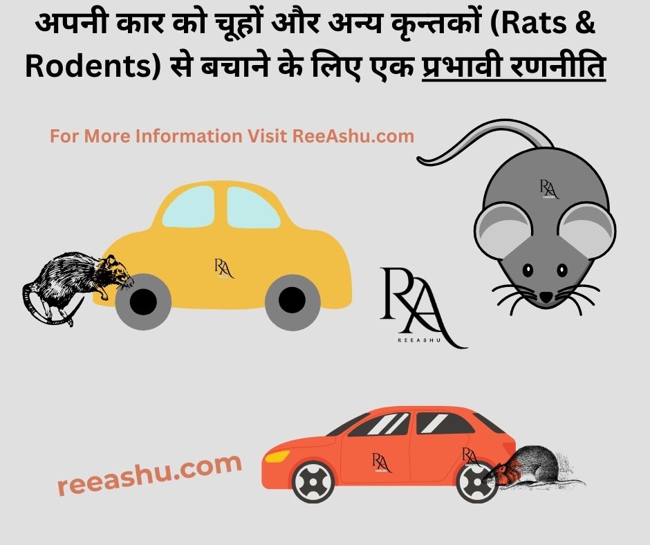 Rats & Rodents