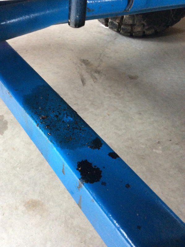 113A4ED4-3841-4B6B-B0EC-6F21B9639457