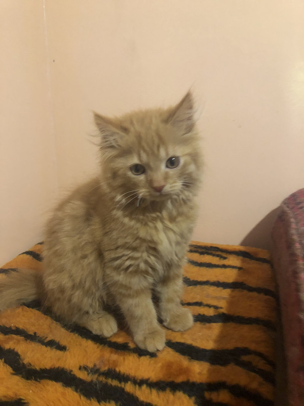 7B4B3DA6-BA6C-431B-82BC-2D652F794B77