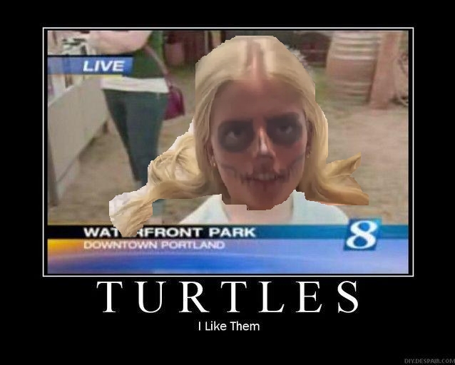 [Image: turtles2.jpg]