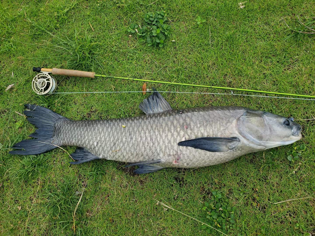 mmexport1632360100894