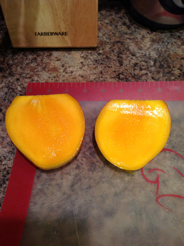 a8d40d9bfc5a25d9d8ae1cc3f8542040