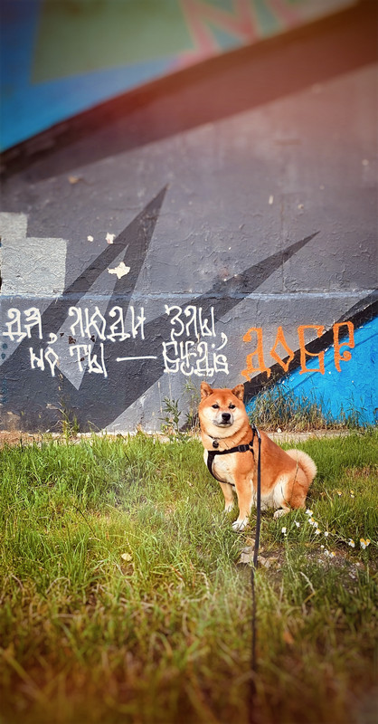 5B6F0AE6-FC08-4E2F-9A9B-03449D2728BB