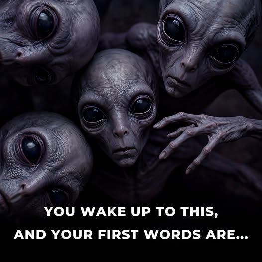 [Image: 876600163-1120233917320371-3700144688641103055-n.jpg]