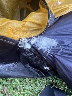 7c193e9c-db34-4a4d-b1ed-e0983015e4dd