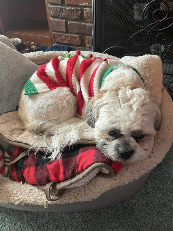 51B22D8E-C40D-453E-9935-5B977E700471_1_105_c