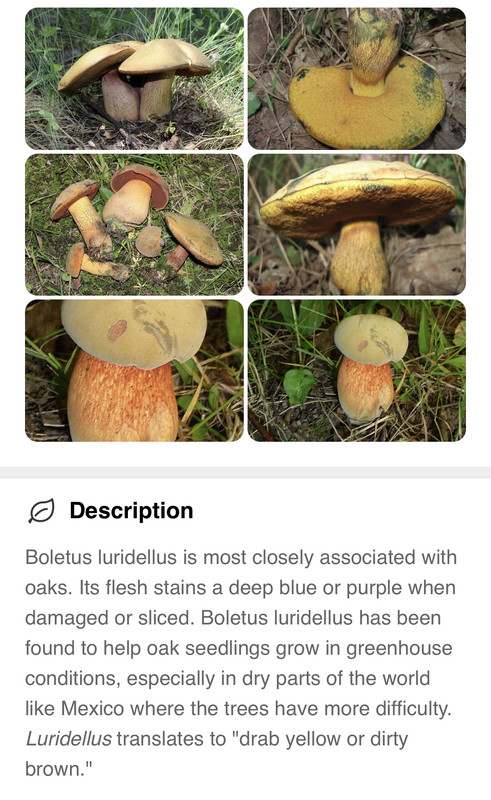 2AF54CC9-3DD2-436D-976D-EE3804D9B9A7