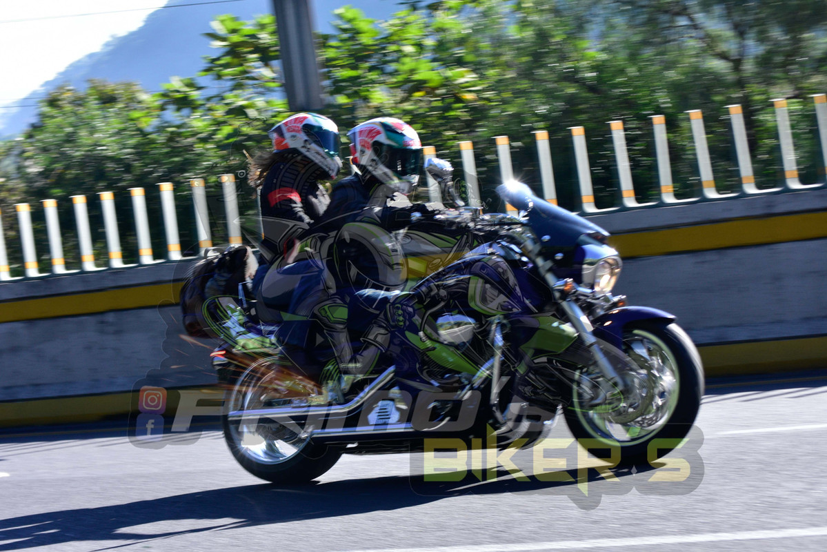 _DSC0050