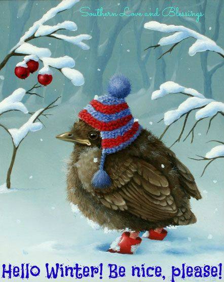 BIRD-WINTER-PLEASE-BE-NICE