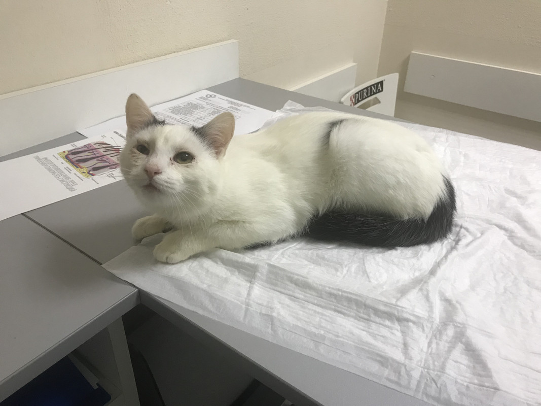 F5654D13-54A0-4558-A0A4-F5CFB2EEDEA6