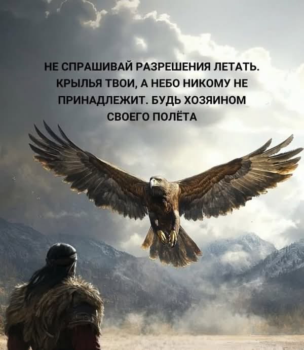 [Изображение: photo-2026-06-06-07-19-17.jpg]