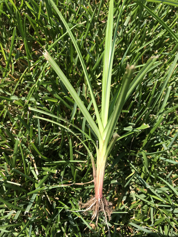 7C7A7FA1-7086-4D45-A7DA-99EC0231E659