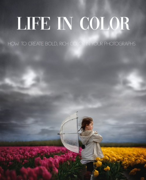 Clickinmoms - Life in Color: Creating bold, rich color in your photographs