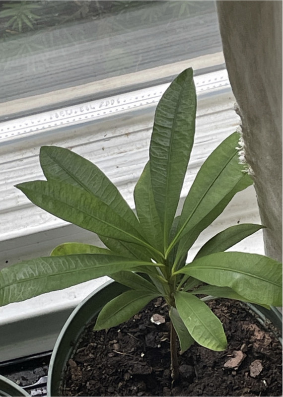 32051295-6C5F-41E5-9E17-A37B97688C25