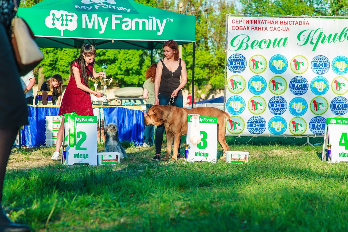 Джаззи и Ева ББЕст взрослій