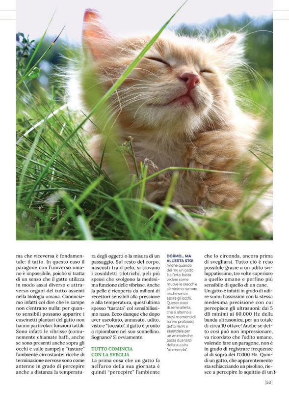 Ga Ma Apr-Mag 2022 (10)