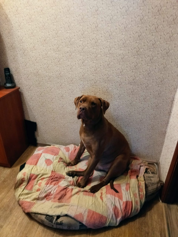 9ADCBAB6-7143-401F-A067-E9C018B6E0F0