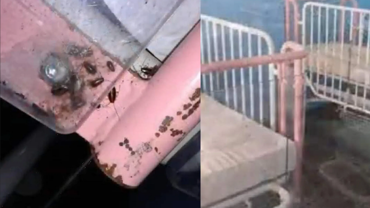Captan invasión de cucarachas en Hospital infantil de La Habana, Cuba (Video)