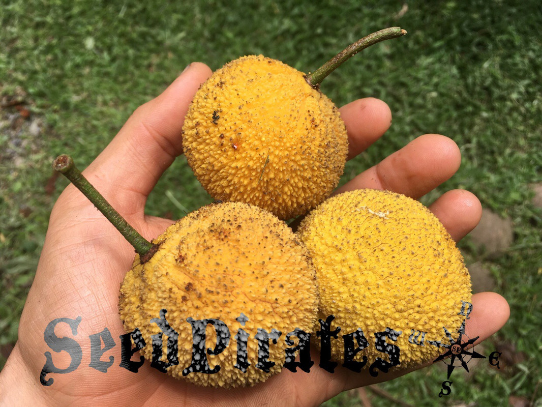 6FF9D08D-0EC3-4DB1-AFF1-B943B3947402