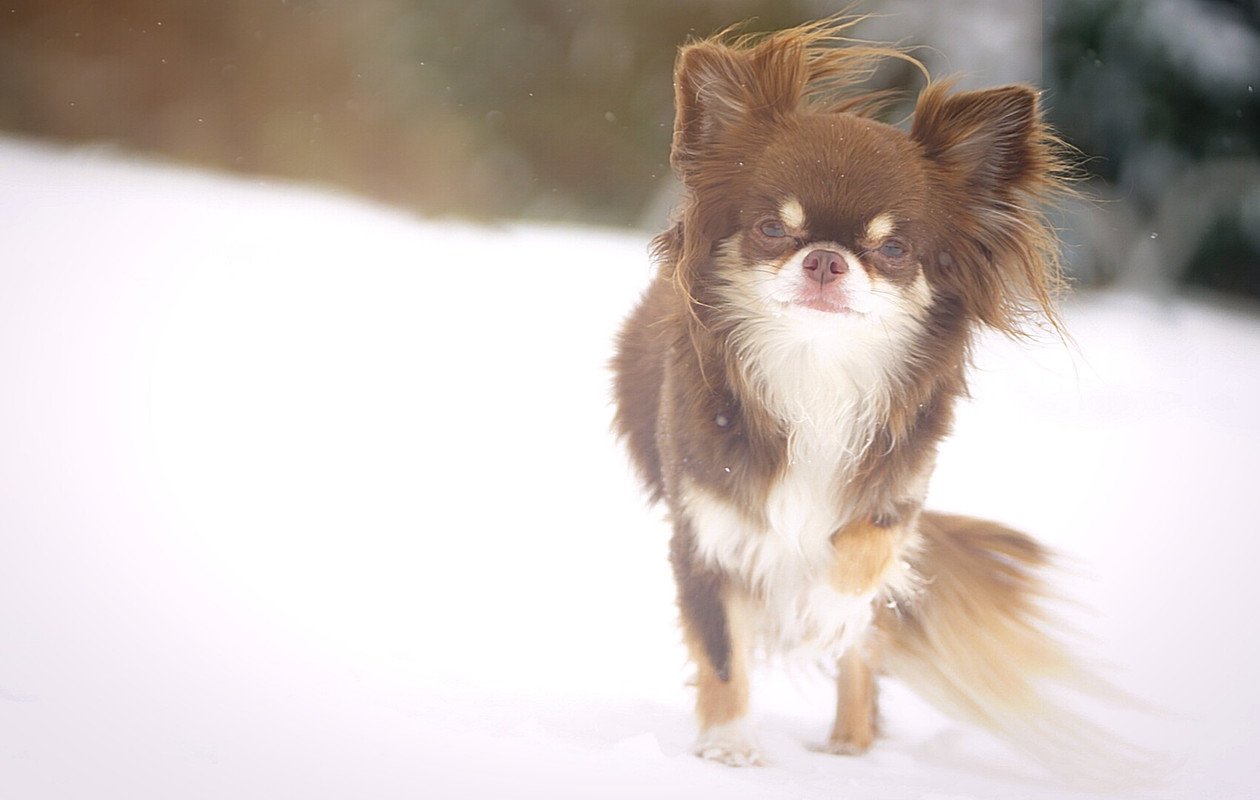 Lumii_20210208_122835486