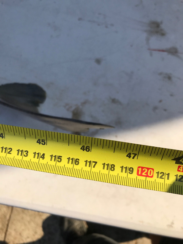 9AEC699D-B319-42B0-AE14-17A0622A1ADE