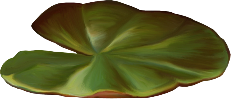 0_1c0c9a_5f9dc4e6_orig