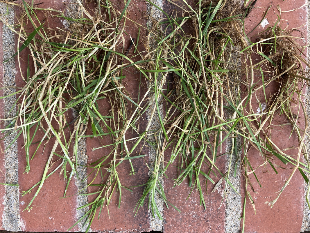 F61E0B3E-31AE-483E-AEB4-41A252A7C3DA