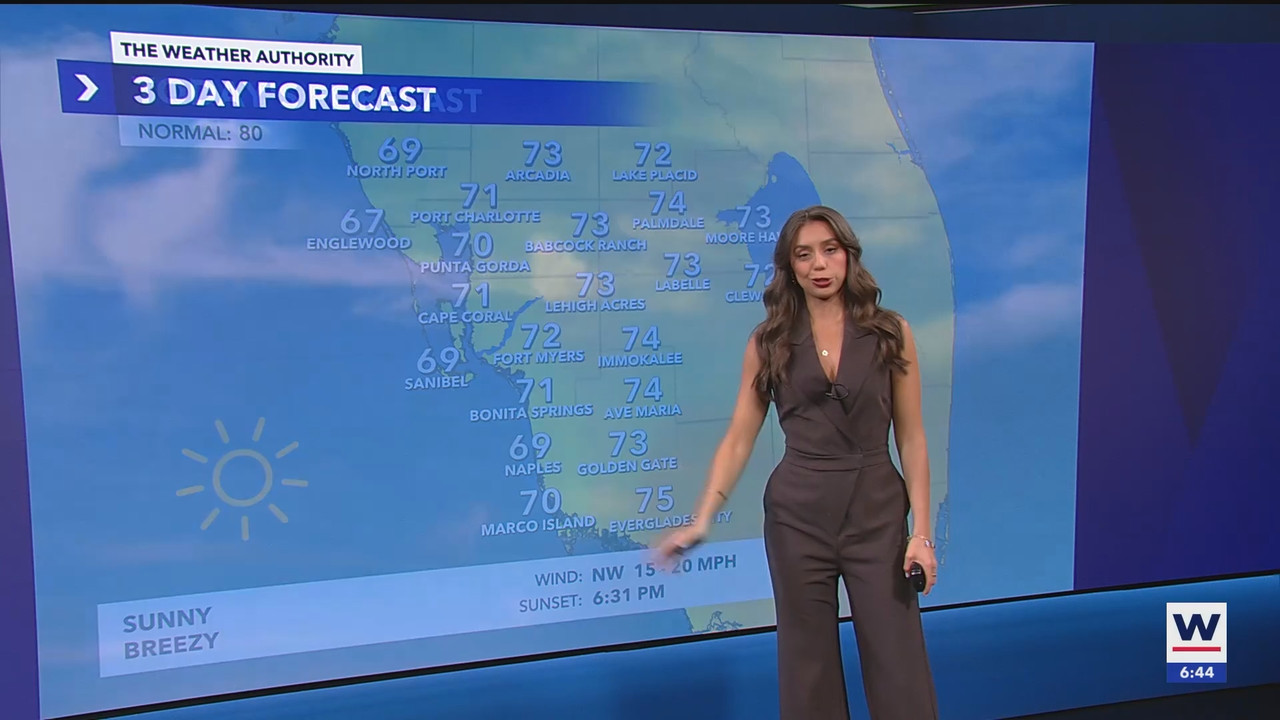 WINK News at 630am_20250306_11301200.ts_snapshot_15.07.091