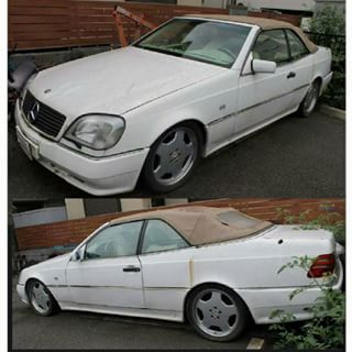 11379711_1598305473790374_1298881053_n