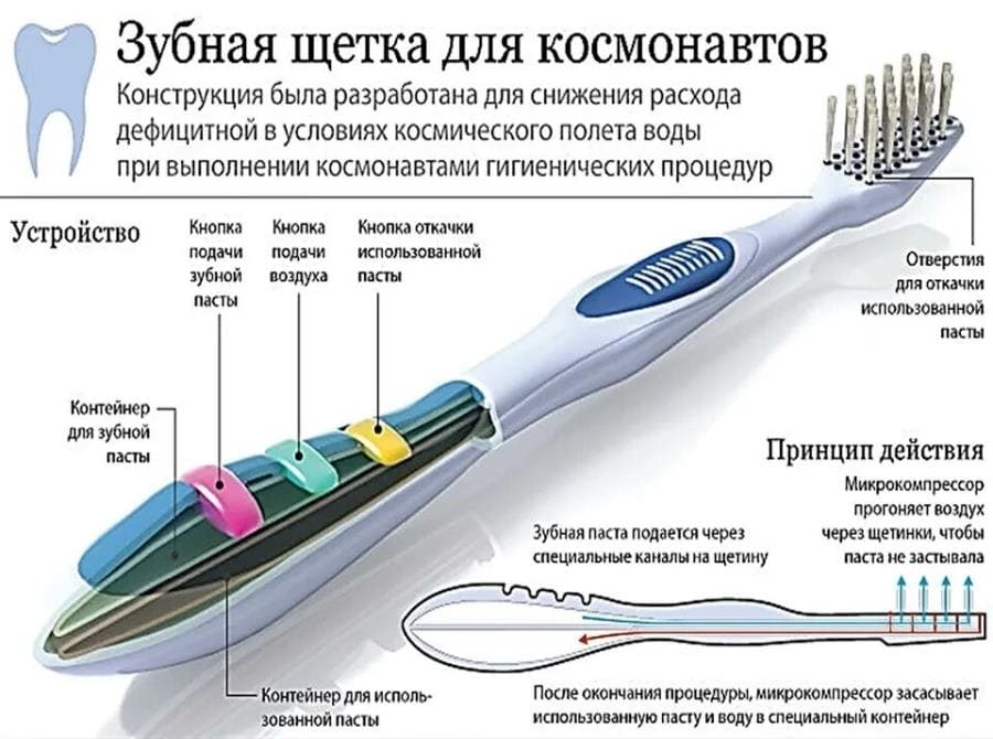 Эволюция зубной щётки: древние прототипы и футуристические технологии Эволюция зубной щётки: древние прототипы и футуристические технологии