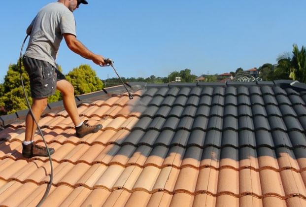 Roof Painting