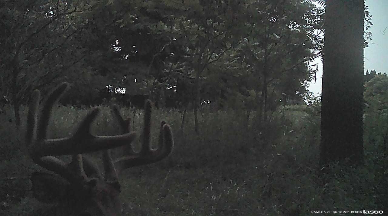 F5B5932D-EE99-4914-BBB8-6026E6A1855F