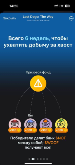 article content image