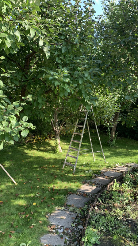 551309DB-BC3D-4858-8ACF-3618379413FF