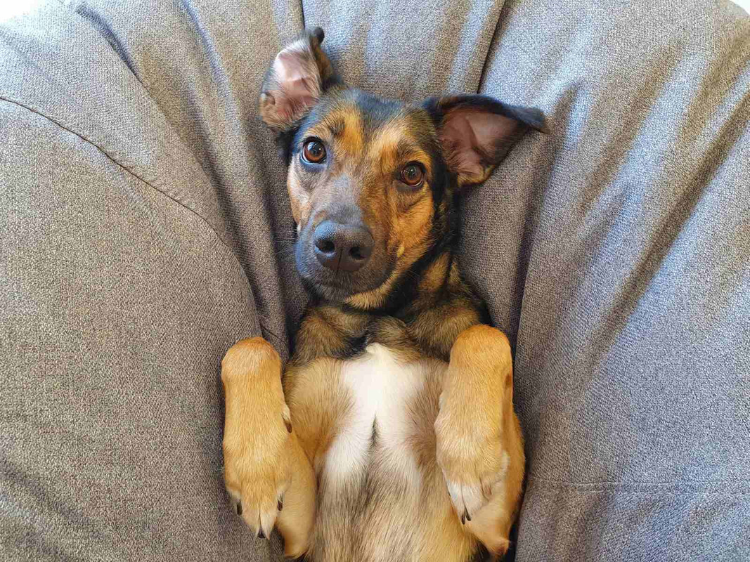 изображение_viber_2022-01-12_14-11-50-665